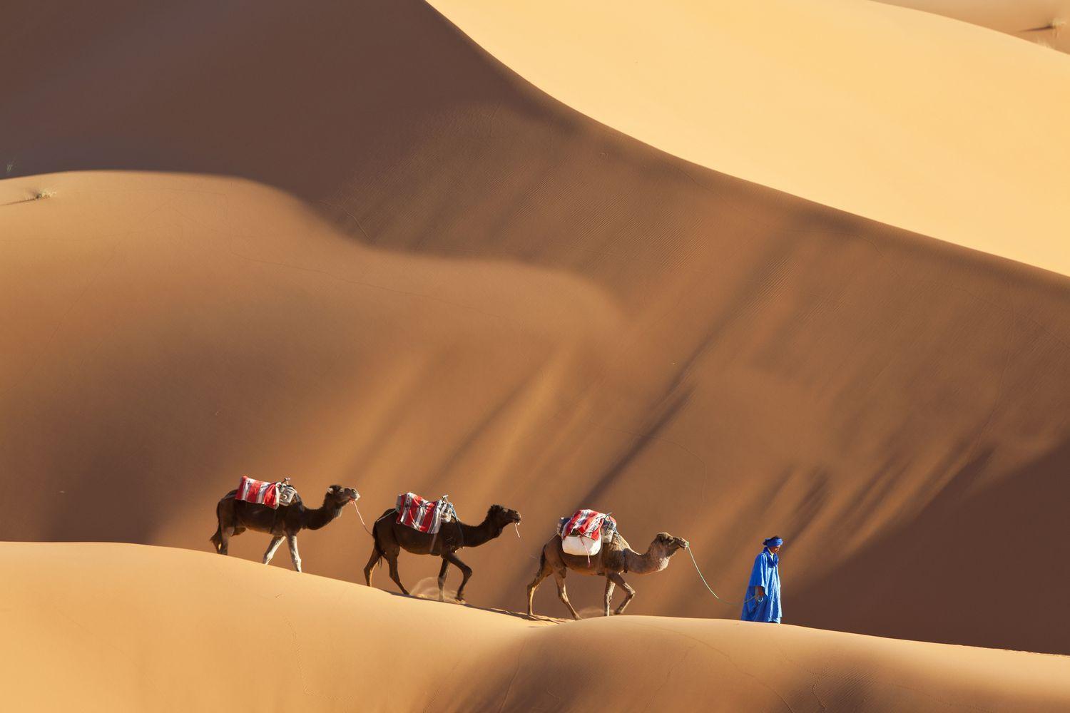 Merzouga Luxury Traditional Camp Luaran gambar